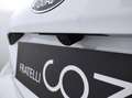 Ford Fiesta 7ª serie - Fiesta 1.1 75 CV 5 porte Titanium Wit - thumbnail 24
