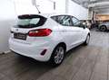 Ford Fiesta 7ª serie - Fiesta 1.1 75 CV 5 porte Titanium Wit - thumbnail 5