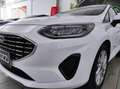 Ford Fiesta 7ª serie - Fiesta 1.1 75 CV 5 porte Titanium Wit - thumbnail 18