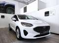 Ford Fiesta 7ª serie - Fiesta 1.1 75 CV 5 porte Titanium Wit - thumbnail 1
