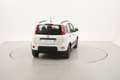 Fiat Panda City Life 1.2 GPL 69CV Blanc - thumbnail 5