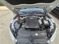 Audi A5 A5 Sportback 35 TDI S line S tronic S line - thumbnail 18