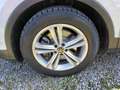 Volkswagen Tiguan 2.0 TDI DSG ELEGANCE IQ.LIGHT+AHK+KAMERA+ Weiß - thumbnail 12