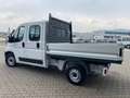 Fiat Ducato 7 posti doppia cabina CASSONE Bianco - thumbnail 4