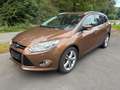 Ford Focus Focus Trend Brun - thumbnail 7