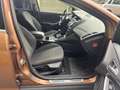 Ford Focus Focus Trend Brun - thumbnail 6