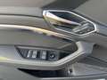 Audi Q8 e-tron 55 S line quattro MATRIX PAN Grau - thumbnail 13
