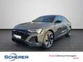 Audi Q8 e-tron 55 S line quattro MATRIX PAN Grau - thumbnail 1