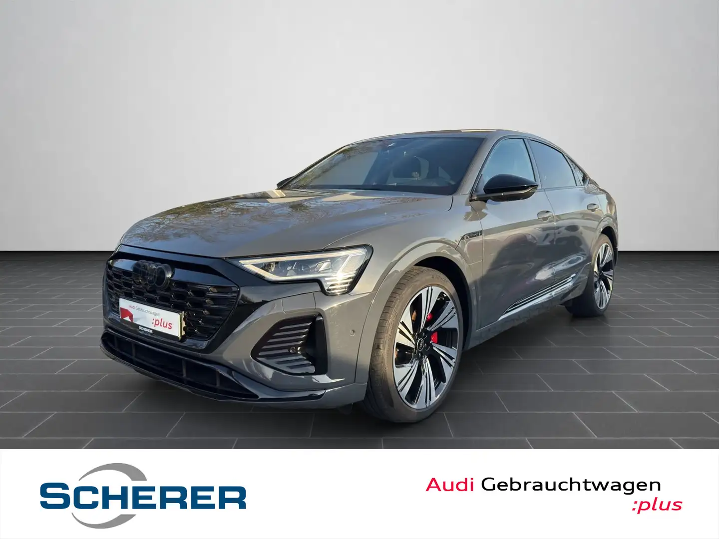 Audi Q8 e-tron 55 S line quattro MATRIX PAN Grau - 1