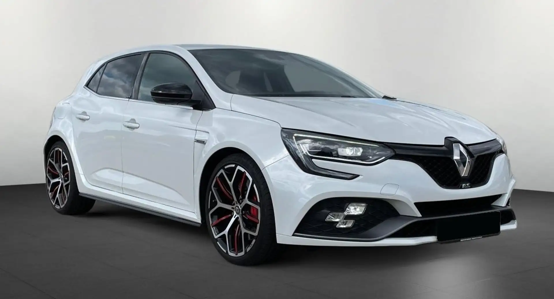 Renault Megane R.S. Trophy TCe 300 *Recaro- Bianco - 1