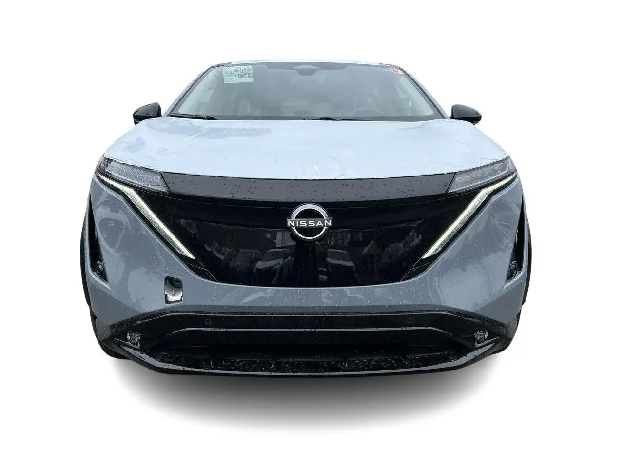 Nissan Ariya photo Nissan Ariya