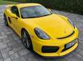 Porsche Cayman Cayman GT4 ohne OPF - Sammlerzustand - approved Gelb - thumbnail 3