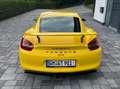 Porsche Cayman Cayman GT4 ohne OPF - Sammlerzustand - approved Gelb - thumbnail 5