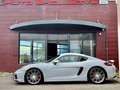 Porsche Cayman Cayman 981 3.4 GTS 340  PDK PACK GTS ROUGE CARMIN Wit - thumbnail 7