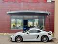 Porsche Cayman Cayman 981 3.4 GTS 340  PDK PACK GTS ROUGE CARMIN Wit - thumbnail 6