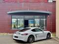 Porsche Cayman Cayman 981 3.4 GTS 340  PDK PACK GTS ROUGE CARMIN Wit - thumbnail 16