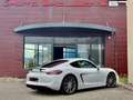 Porsche Cayman Cayman 981 3.4 GTS 340  PDK PACK GTS ROUGE CARMIN Wit - thumbnail 17