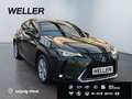 Lexus UX 250h Style Edition *Bi-LED*ACC*CAM*SHZ*CarPlay* Grün - thumbnail 4