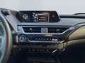 Lexus UX 250h Style Edition *Bi-LED*ACC*CAM*SHZ*CarPlay* Grün - thumbnail 16