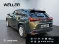 Lexus UX 250h Style Edition *Bi-LED*ACC*CAM*SHZ*CarPlay* Grün - thumbnail 7
