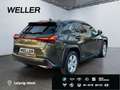 Lexus UX 250h Style Edition *Bi-LED*ACC*CAM*SHZ*CarPlay* Grün - thumbnail 19