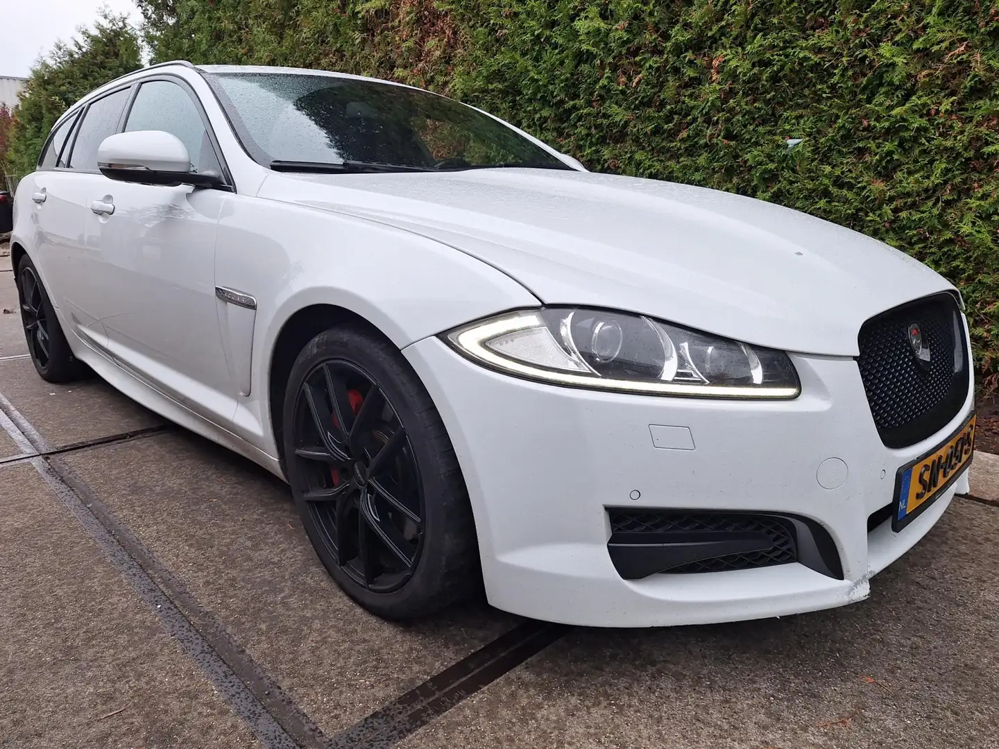 Jaguar XF Sportbrake 3.0D S Blanc - 2