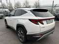 Hyundai TUCSON Tucson 1.6 HEV aut.Exellence CON GANCIO TRAINO Blanc - thumbnail 5