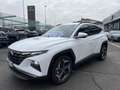 Hyundai TUCSON Tucson 1.6 HEV aut.Exellence CON GANCIO TRAINO Blanc - thumbnail 6