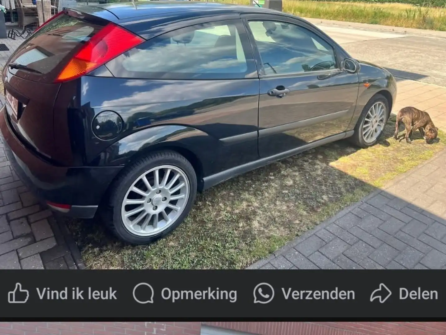 Ford Focus 1.6 naft - 1