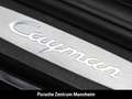 Porsche Cayman PDK Navi 20Zoll Licht-Design-Paket Sitzheizung Schwarz - thumbnail 22