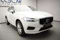 Volvo XC60 2.0 B4 D AWD Momentum Pro Auto Blanco - thumbnail 4