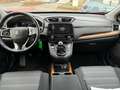 Honda CR-V 1.5 Turbo VTEC Elegance 2WD OPF  *Tempomat*Klimaau Rot - thumbnail 11