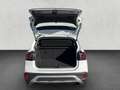 Volkswagen T-Cross 1.0 TSI DSG Navi, Kamera, Matrix-LED, AC Weiß - thumbnail 11