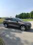 Volkswagen Touareg 3.0 V6 tdi Executive 204cv tiptronic Marrone - thumbnail 3