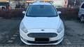 Ford Galaxy 1.5 7-Sitze Business Navi Weiß - thumbnail 4