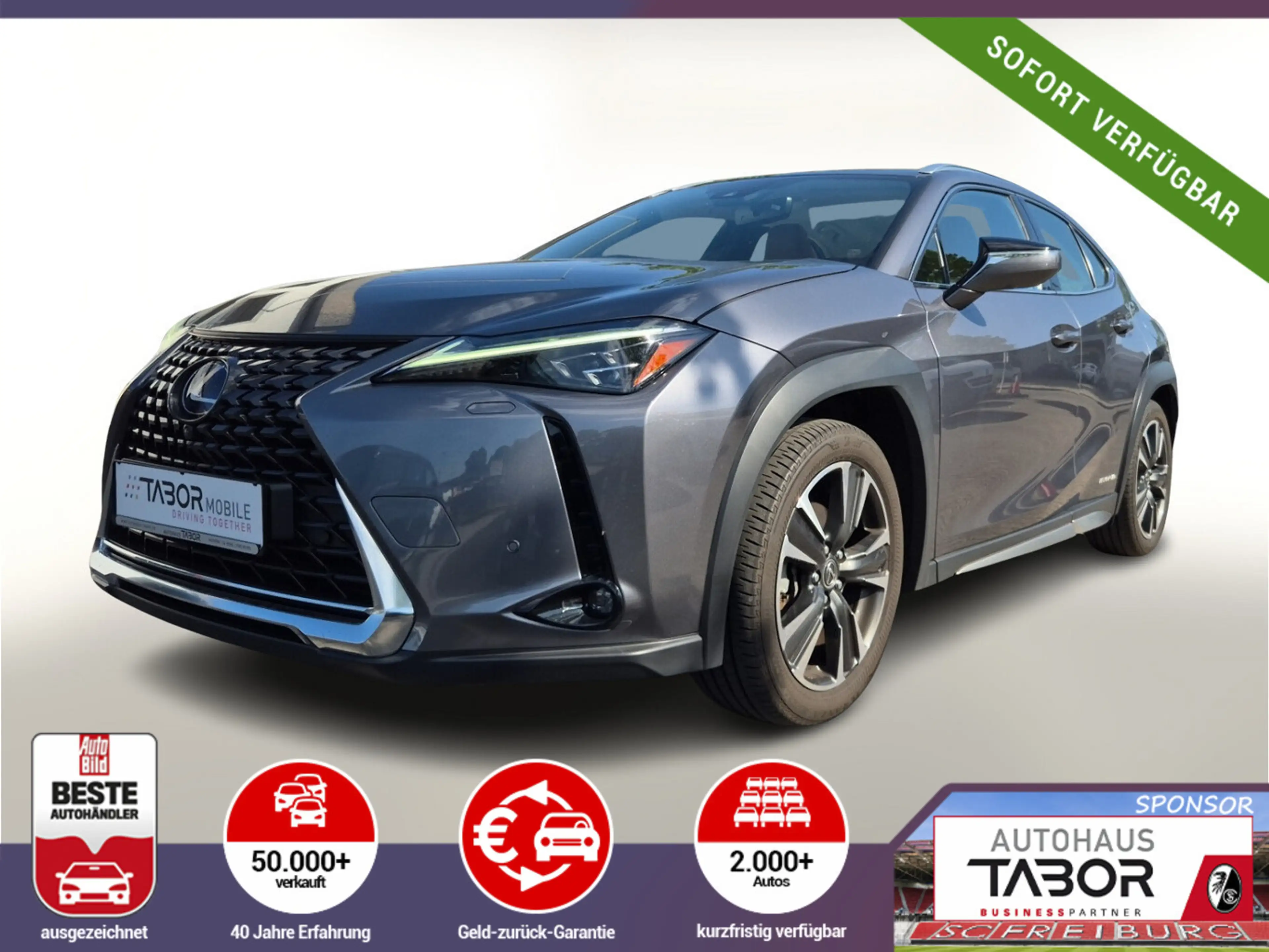 Lexus UX 250h 250h Luxury Line Matrix LED Pano Memory Kam