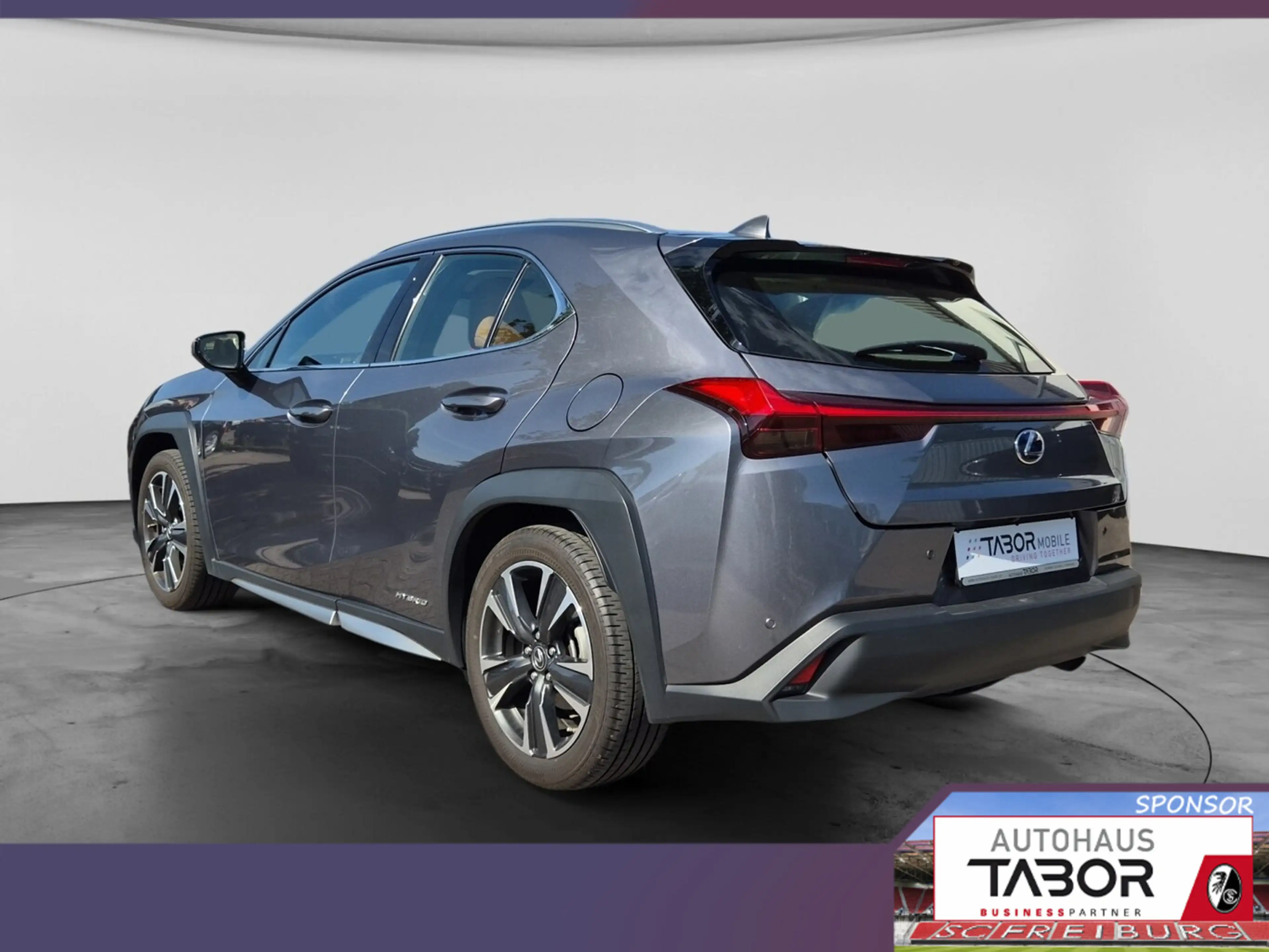 Lexus UX 250h 250h Luxury Line Matrix LED Pano Memory Kam — photo 3