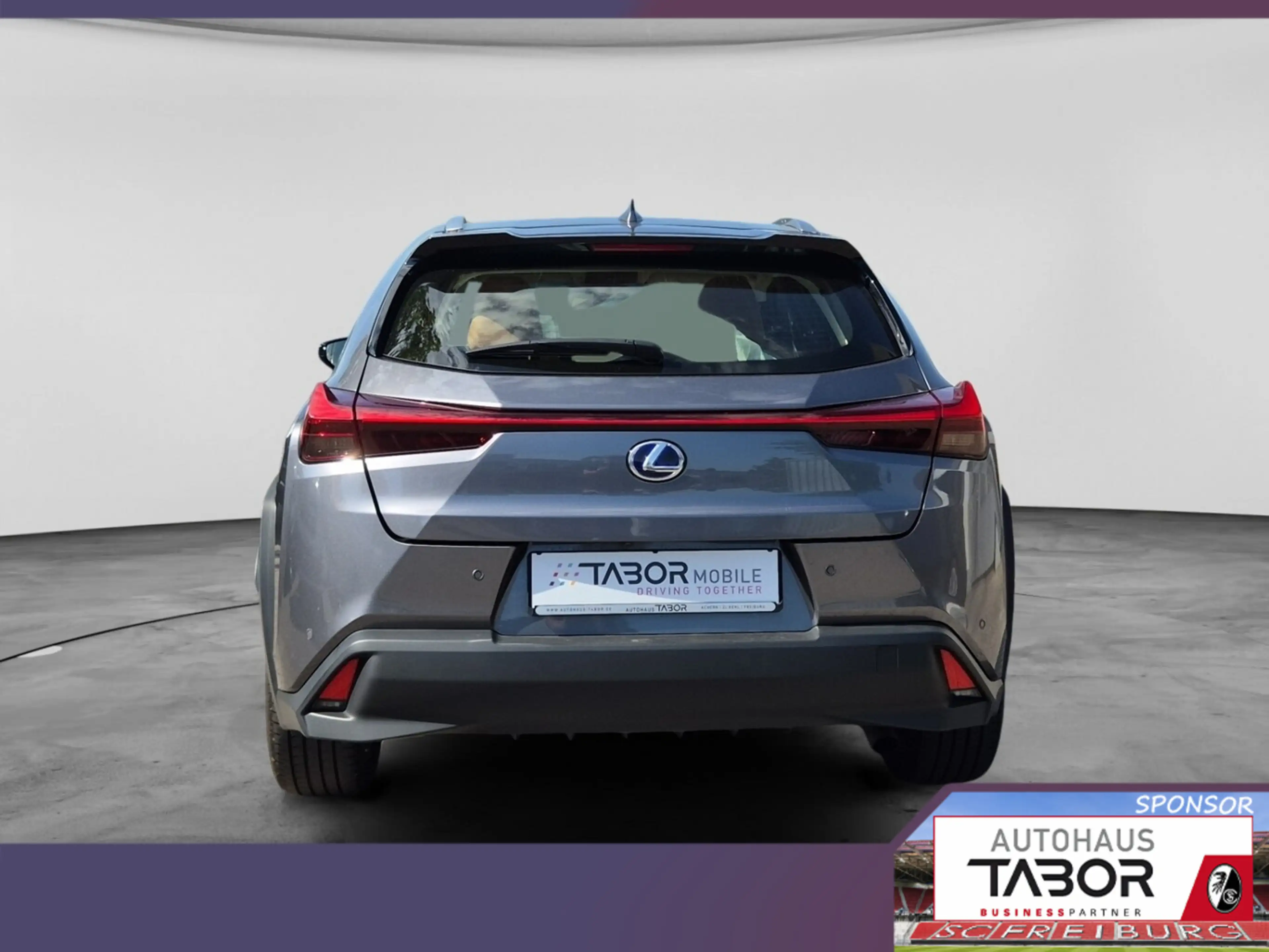 Lexus UX 250h 250h Luxury Line Matrix LED Pano Memory Kam — photo 6