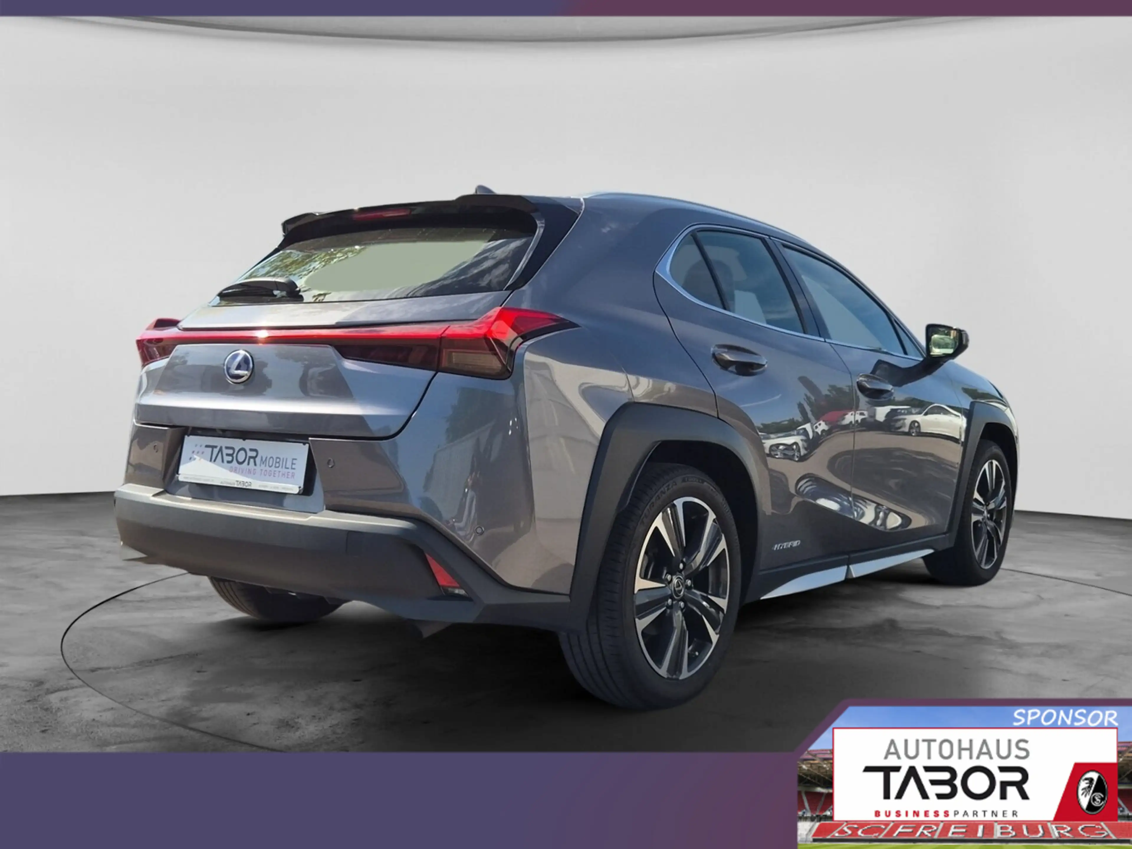 Lexus UX 250h 250h Luxury Line Matrix LED Pano Memory Kam — photo 4