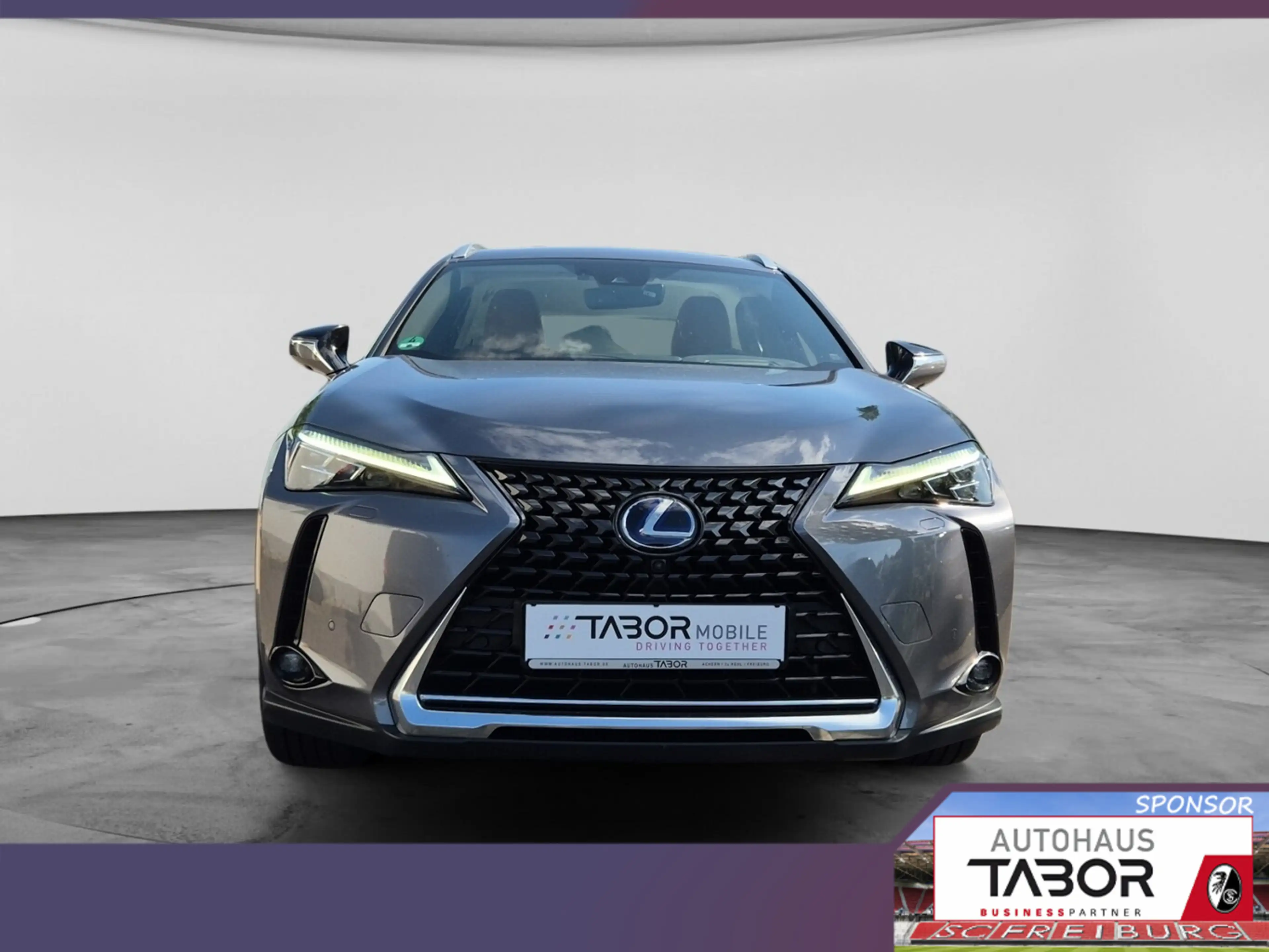 Lexus UX 250h 250h Luxury Line Matrix LED Pano Memory Kam — photo 5