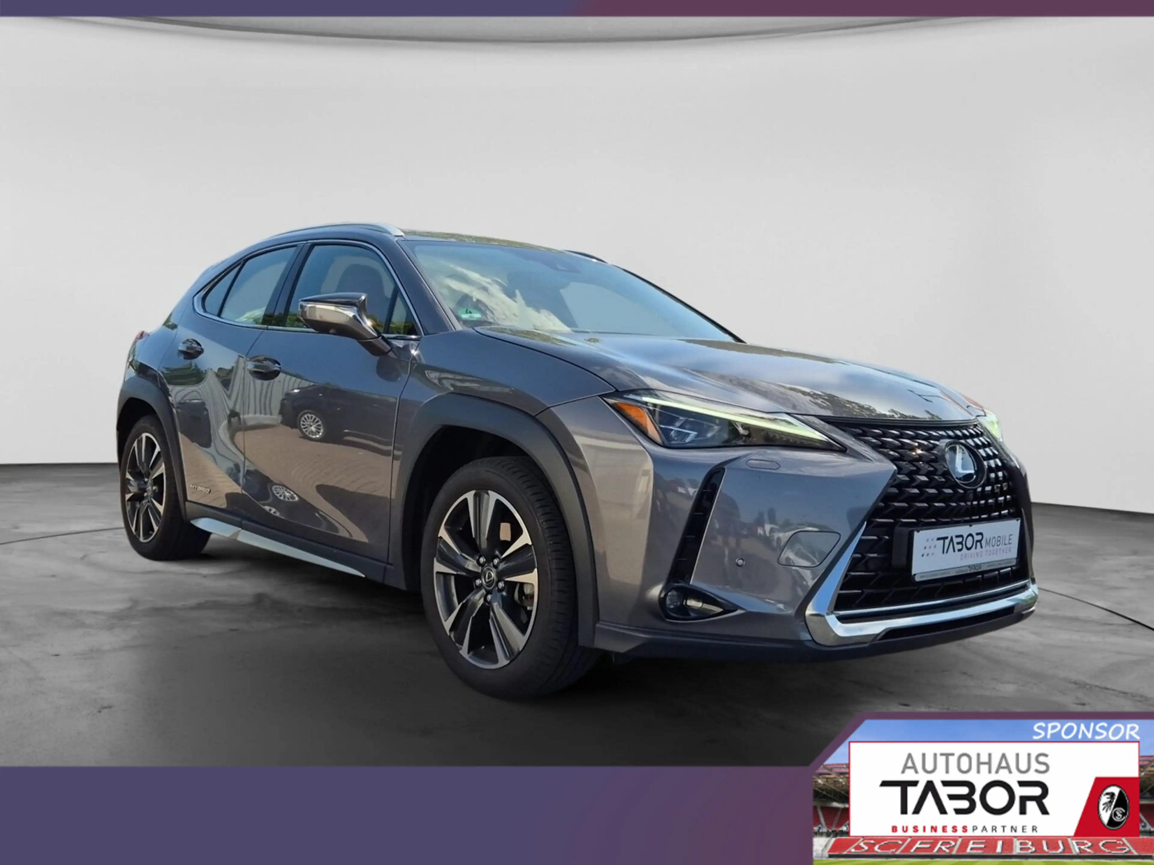 Lexus UX 250h 250h Luxury Line Matrix LED Pano Memory Kam — photo 2