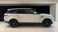 Land Rover Range Rover Sport 3.0 TDV6 258 HSE Mark IV - thumbnail 4