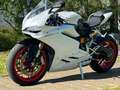 Ducati Panigale  959 *white Edition* Blanco - thumbnail 8