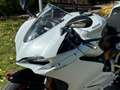 Ducati Panigale  959 *white Edition* Blanco - thumbnail 14