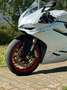 Ducati Panigale  959 *white Edition* Wit - thumbnail 7
