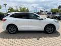 Ford Kuga 190PS Autm. 4x4 ST-Line X Navi Winter LED Weiß - thumbnail 2