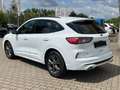 Ford Kuga 190PS Autm. 4x4 ST-Line X Navi Winter LED Weiß - thumbnail 5