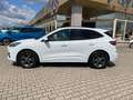 Ford Kuga 190PS Autm. 4x4 ST-Line X Navi Winter LED Weiß - thumbnail 6