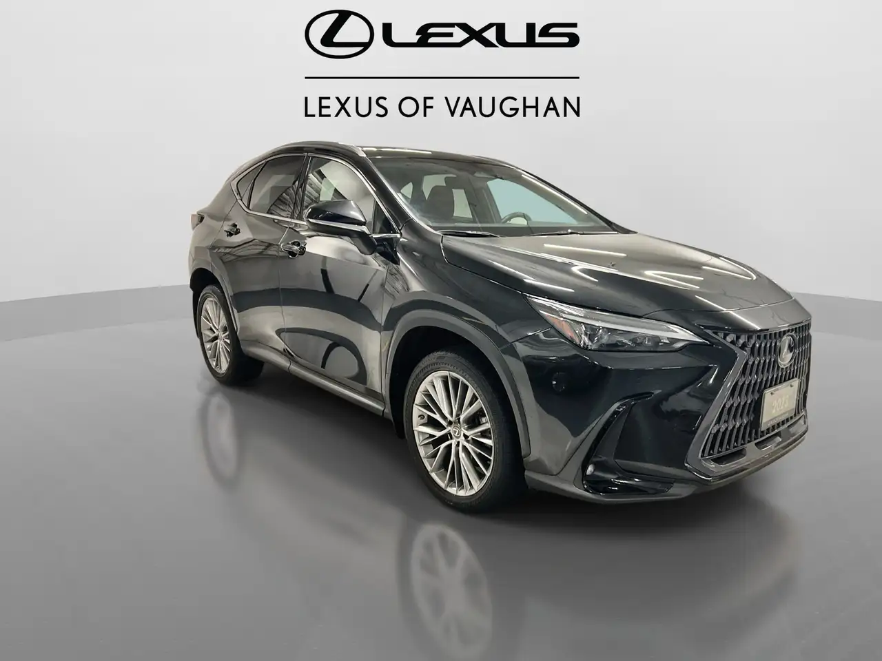 Lexus NX fotografie Lexus NX