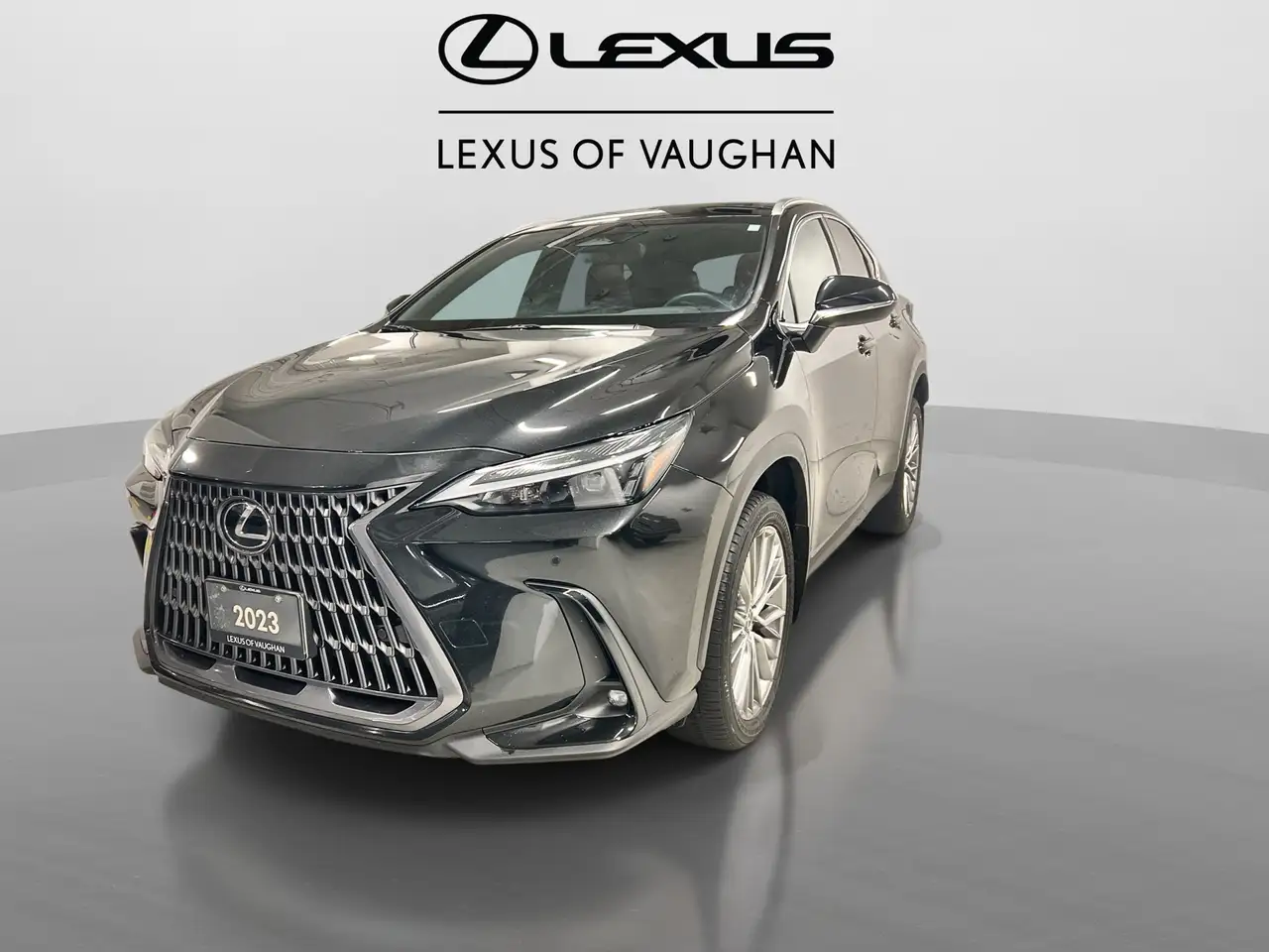 Lexus NX fotografie Lexus NX